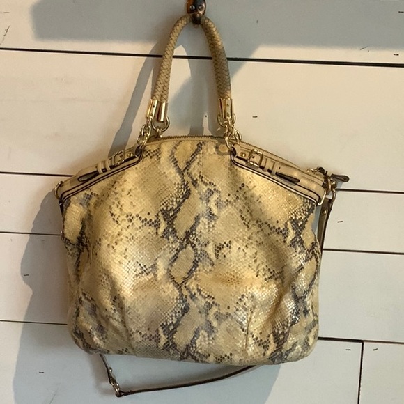 COACH Madison Lindsey python satchel - Picture 7 of 16